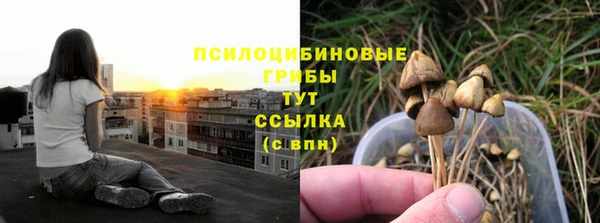 первитин Арсеньев