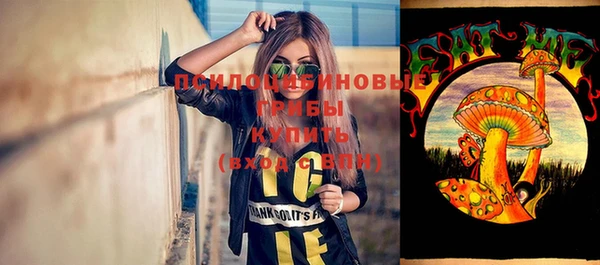 первитин Арсеньев