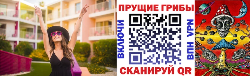 Псилоцибиновые грибы ЛСД  купить закладку  KRAKEN ссылка  Суоярви 